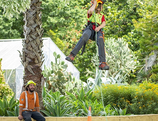 civil landscaping image 1