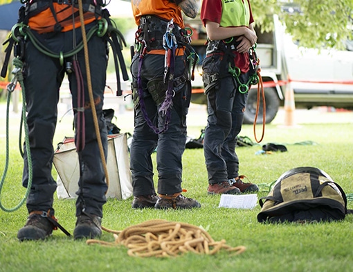 hedge trimming image 1