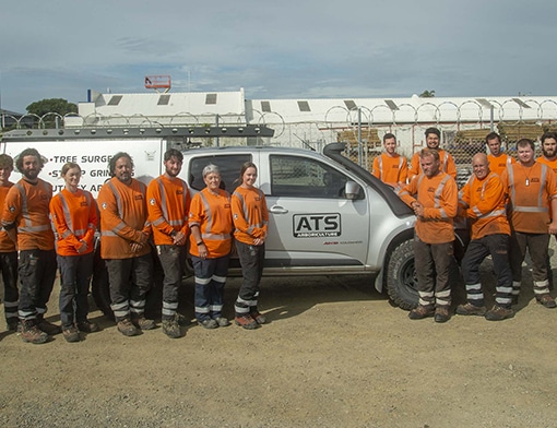 Siteworks and Landscaping